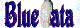 Bluedata International Institute