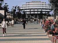 UCSD図書館
