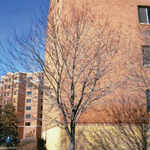 brady_hall
