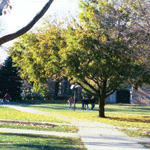 campus_view
