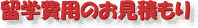 �������w��p���ς���