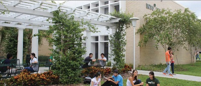 22年 学部聴講 南フロリダ大学 認定留学 休学留学