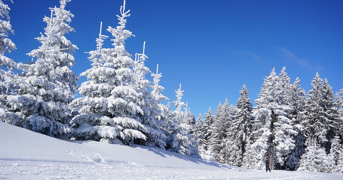 カナダ・コミカレ留学体験談