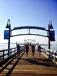高校留学bridge