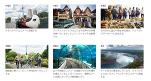 トロント　カプラン　アクティビティ詳細